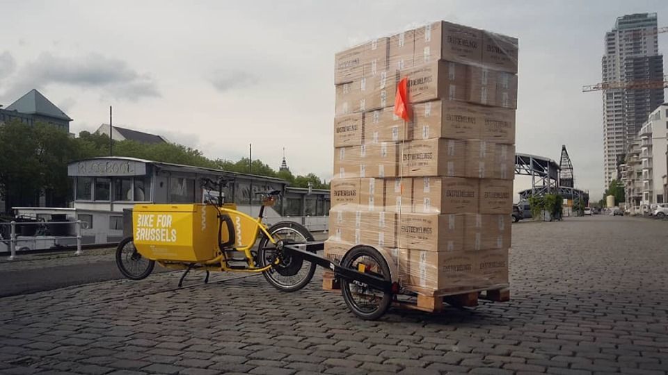 bicycle transport trailer