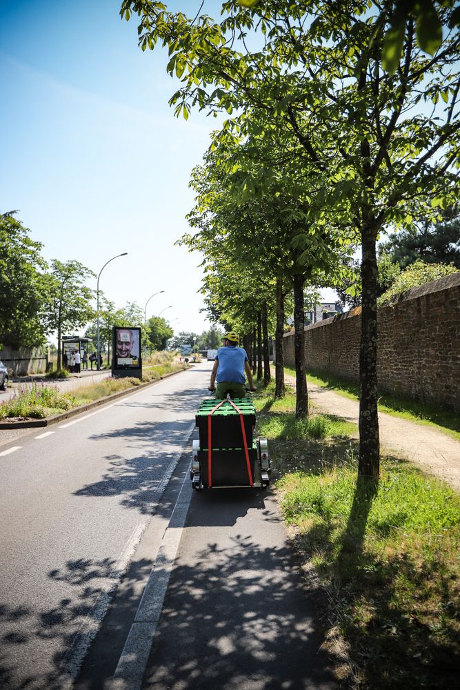Runner on bike lane Cyclist with a blue shirt and yellow helmet towing a Runner bike trailer with black boxes with yellow lids on it, riding on a bike lane next to trees and grass