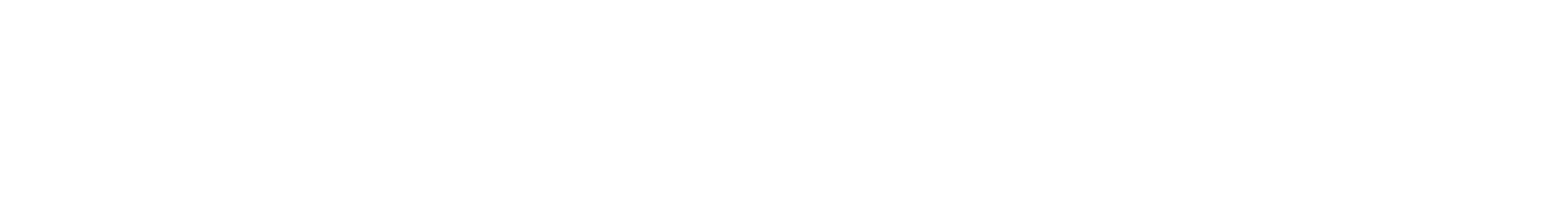 logo fleximodal blanc