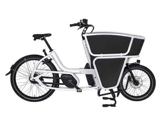Urban Arrow Shorty cargo bike
